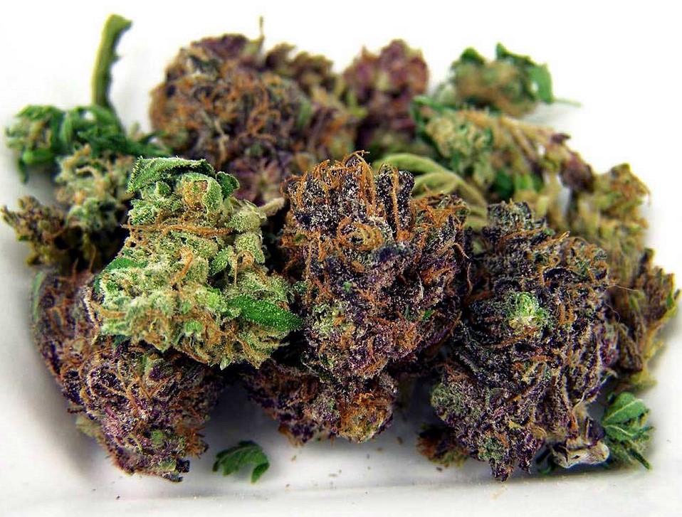 Cannabis Bloom Boosters Guide cannabis bloom boosters guide 4 - Cannabis Bloom Boosters Guide