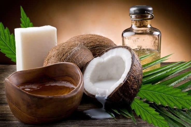 Cannabis Coconut Oil cannabis coconut oil 12 - Cannabis Coconut Oil