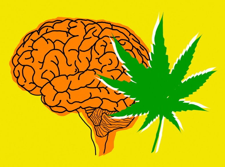 Cannabis Effects: How Weed Affects Your Mind and Body cannabis effects how weed affects your mind and body 4 - Cannabis Effects: How Weed Affects Your Mind and Body