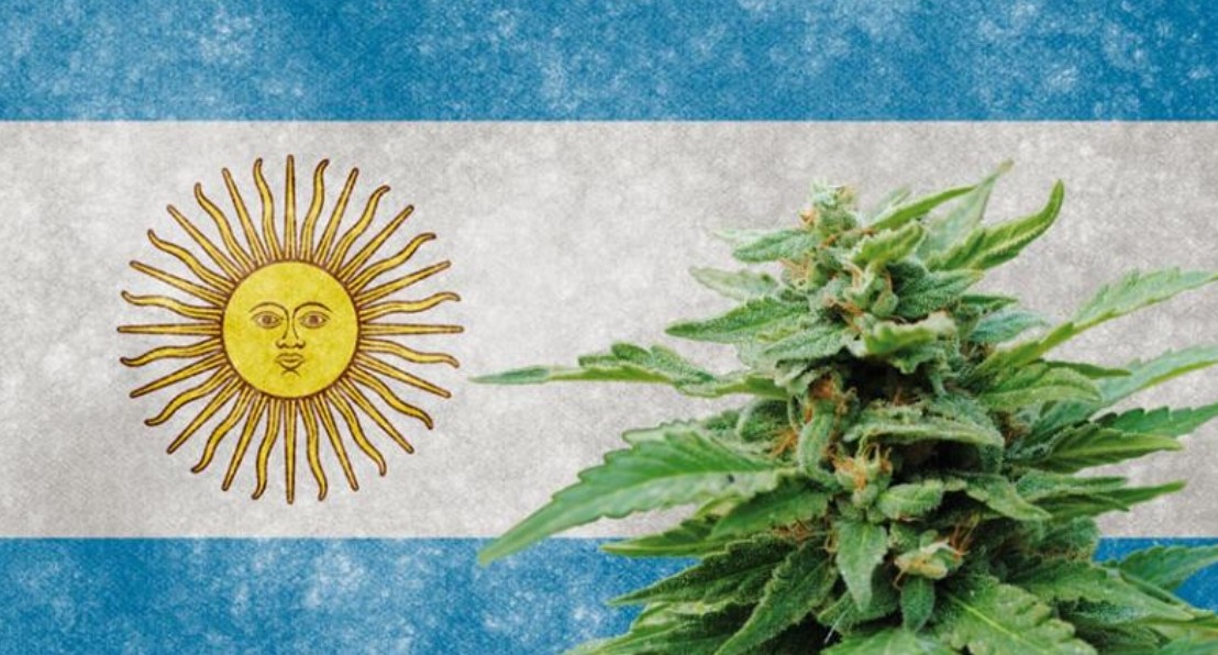 Cannabis in Argentina cannabis in argentina 2 - Cannabis in Argentina