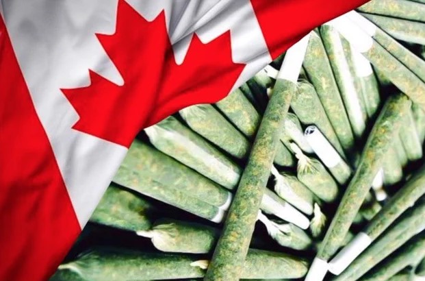 Cannabis Legalization in Canada cannabis legalization in canada 35 - Cannabis Legalization in Canada