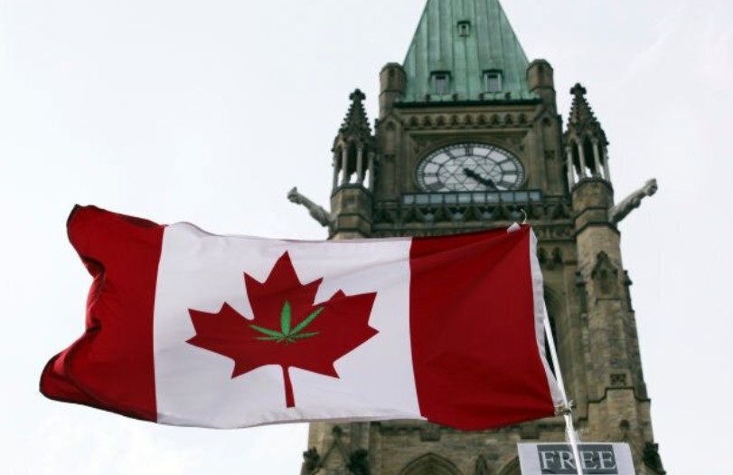 Cannabis Prohibition in Canada cannabis prohibition in canada 41 - Cannabis Prohibition in Canada