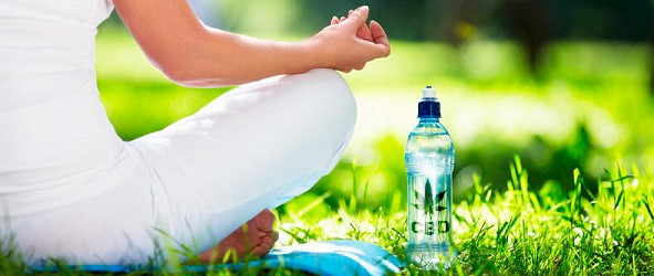 The Best CBD Water Of 2022 cbd waters 11 - The Best CBD Water Of 2022