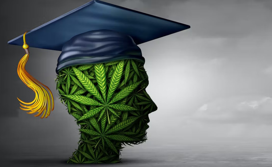 Cannabis and Studies: Could Weed Help You Study Better? could cannabis help you study better 4 - Cannabis and Studies: Could Weed Help You Study Better?