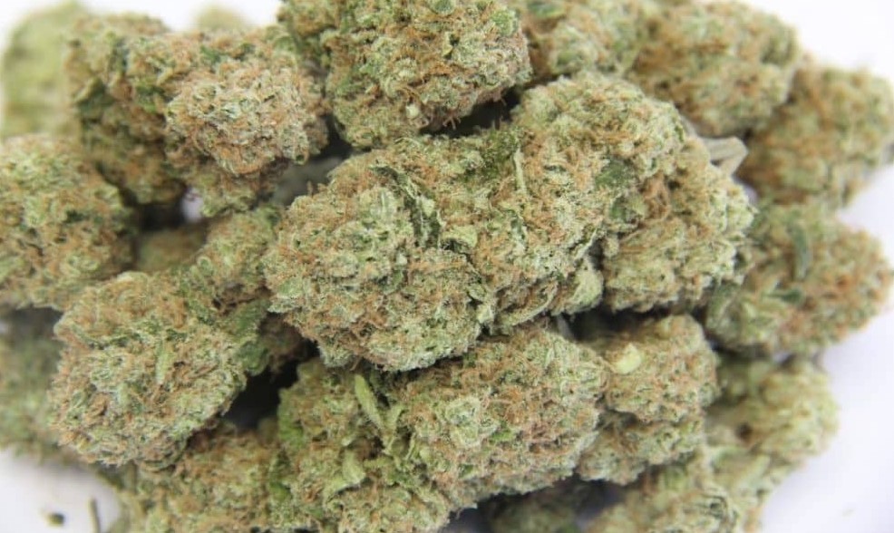 Desert Cannabis Strains desert cannabis strains 43 - Desert Cannabis Strains
