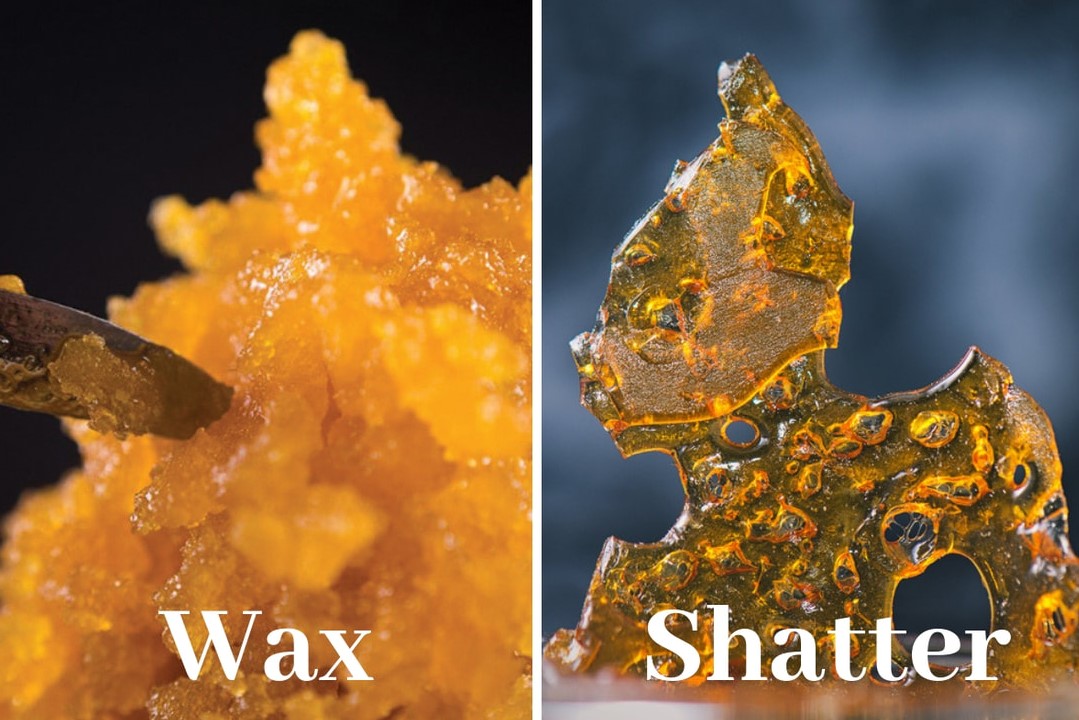 Difference Between Shatter And Wax difference between shatter and wax 2 - Difference Between Shatter And Wax