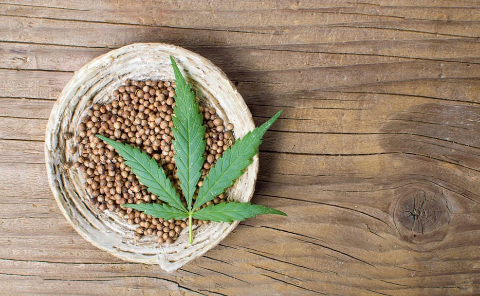 Feminized Seeds Beginner's Guide feminized seeds guide 6 - Feminized Seeds Beginner's Guide
