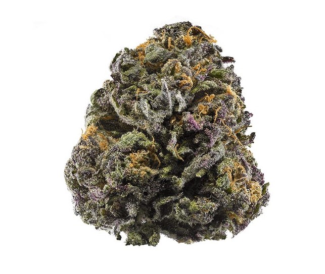 Granddaddy Purple Marijuana Strain Review granddaddy purple marijuana strain - Granddaddy Purple Marijuana Strain Review