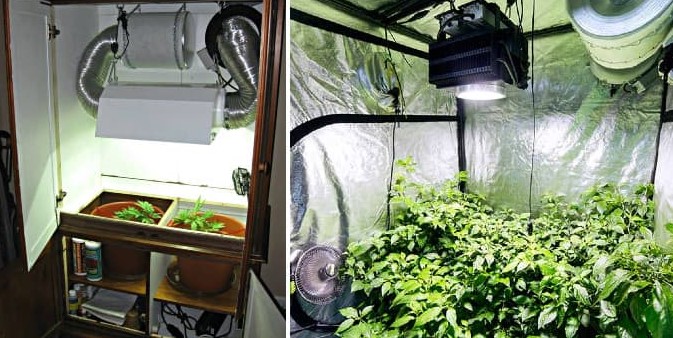 Growing Weed Indoors Guide growing weed indoors guide 3 - Growing Weed Indoors Guide