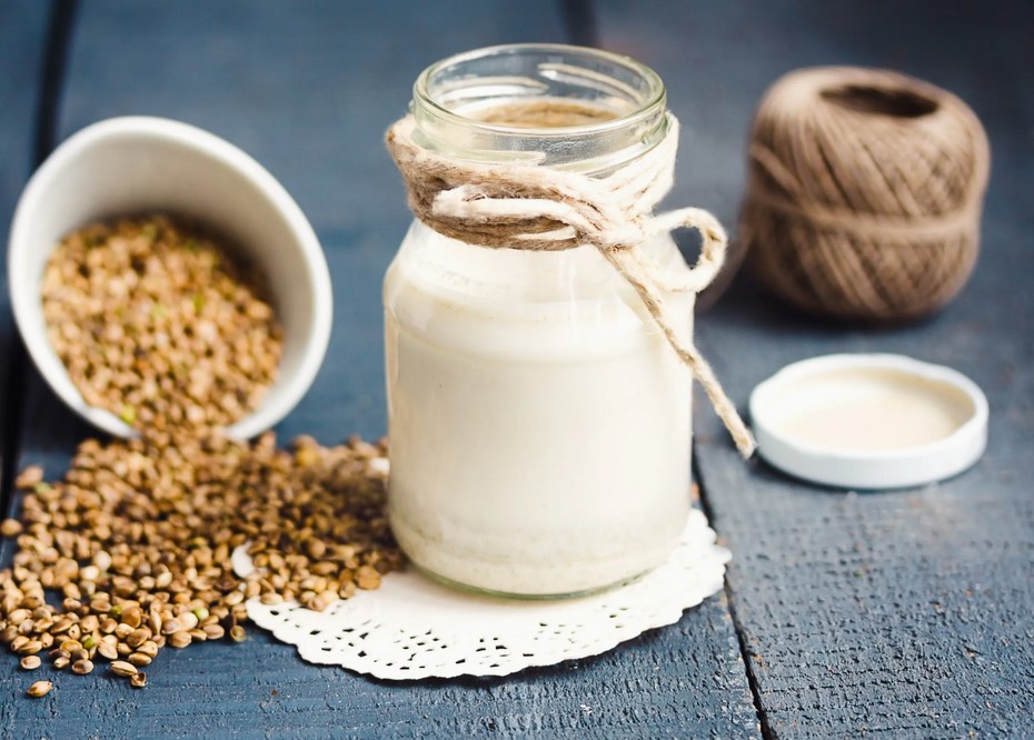 Hemp Milk: Nutrition, Benefits and How to Make It hemp milk 02 - Hemp Milk: Nutrition, Benefits and How to Make It