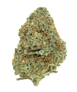 Mango Kush – Sativa Mango Kush – Sativa