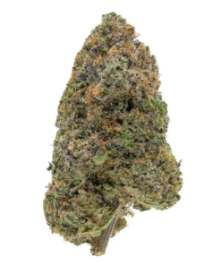Knockout Pink – Indica