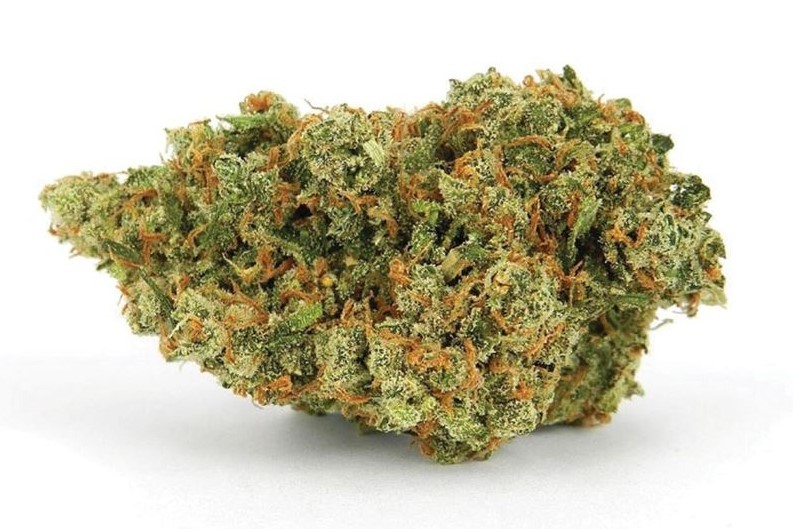 Jack Herer Marijuana Strain Review jack herer marijuana strain review - Jack Herer Marijuana Strain Review