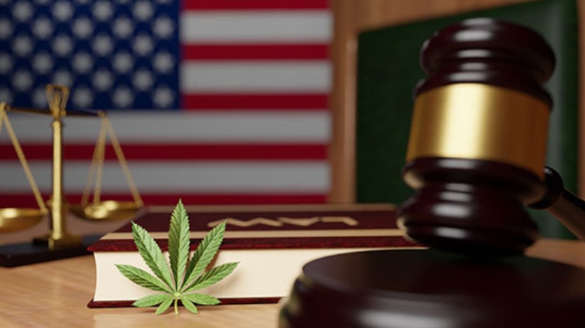 Cannabis Legalisation in USA legalisation in usa 3 - Cannabis Legalisation in USA