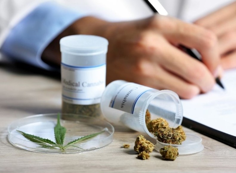 Medical Cannabis Guide medical cannabis guide 2 - Medical Cannabis Guide