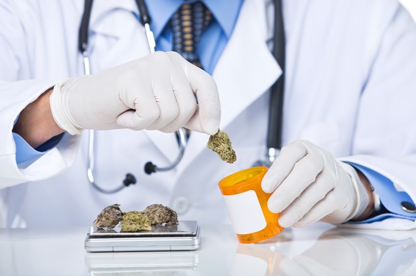 Medical Cannabis Guide medical cannabis guide 5 - Medical Cannabis Guide