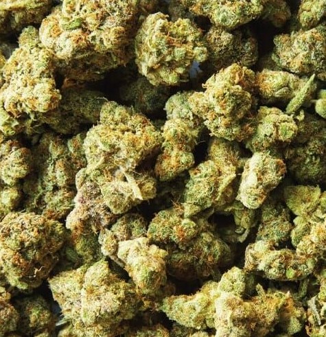 medispensary fl 3 - Farmer's Link Weed Delivery Toronto | Medispensary Cannabis Dispensary Reviews