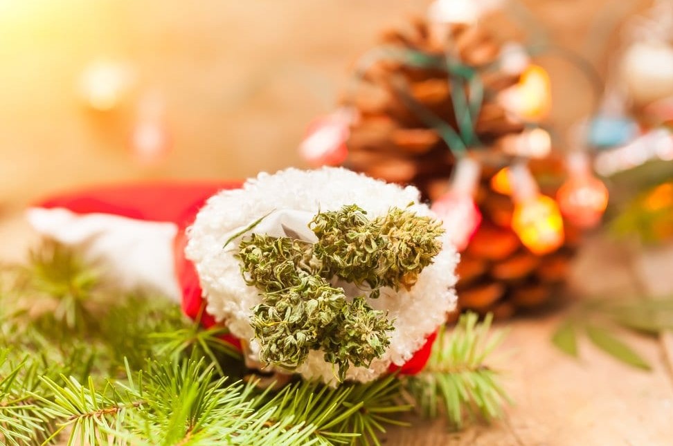 Top New Year Cannabis Recipes For 2023 new year cannabis recipes 2023 11 - Top New Year Cannabis Recipes For 2023