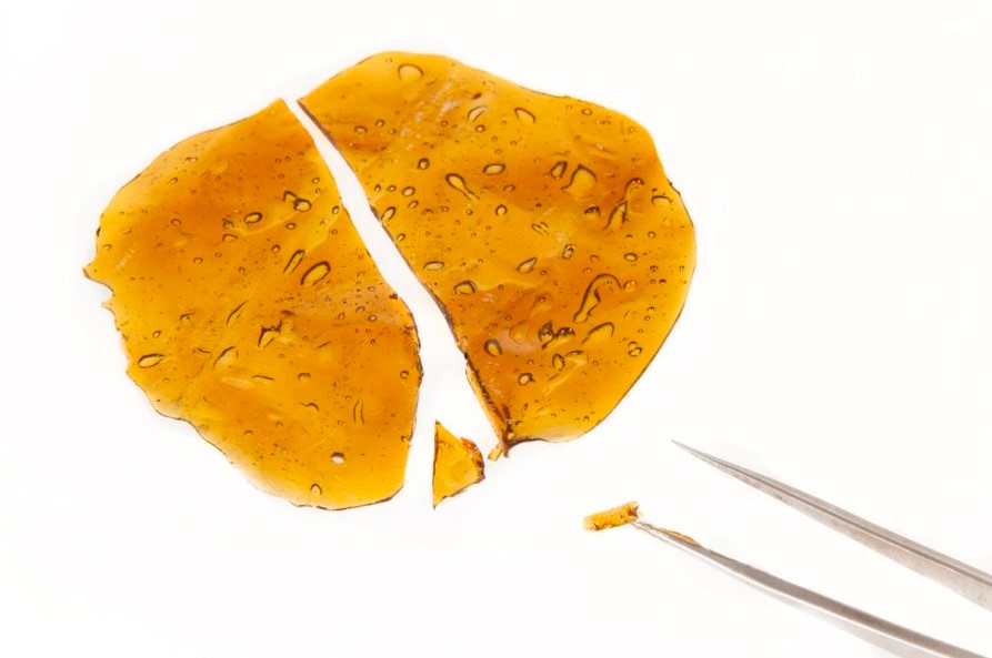 Fireside Shatter: Cannabis Shatter shatter concentrate 21 - Fireside Shatter: Cannabis Shatter