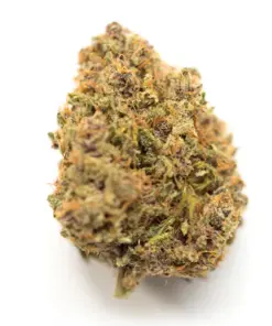 Skunk OG – Hybrid