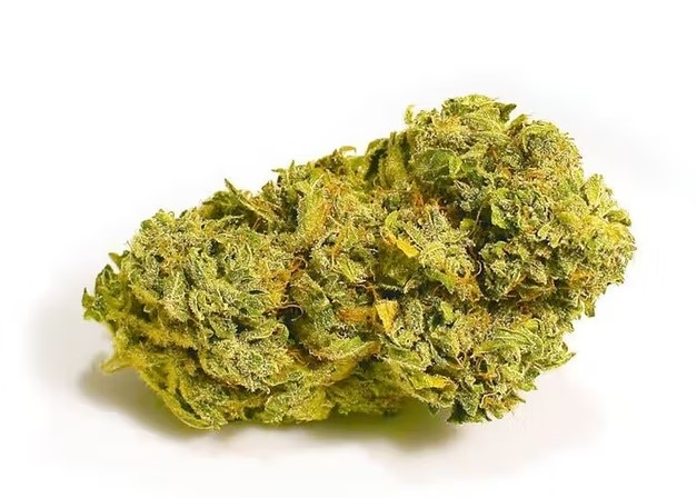 About Super Lemon Haze super lemon haze weed 4 - About Super Lemon Haze