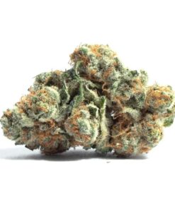 Tangerine Cookies *Hybrid* Tangerine Cookies *Hybrid*