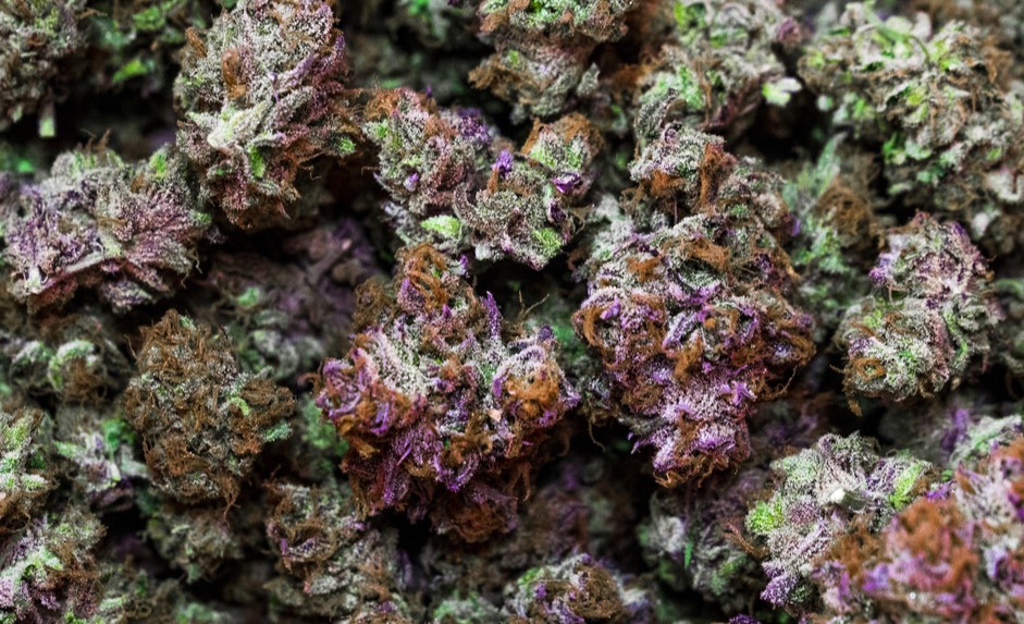 Kush Effects: Everything You Need to Know About Kush thcv 2 - Kush Effects: Everything You Need to Know About Kush