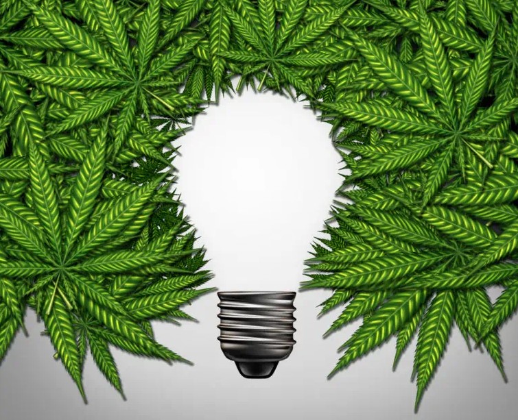 Top Cannabis Strains For Creativity And Focus: Marijuana for Artists top cannabis strains for creativity and focus marijuana for artists 2 - Top Cannabis Strains For Creativity And Focus: Marijuana for Artists