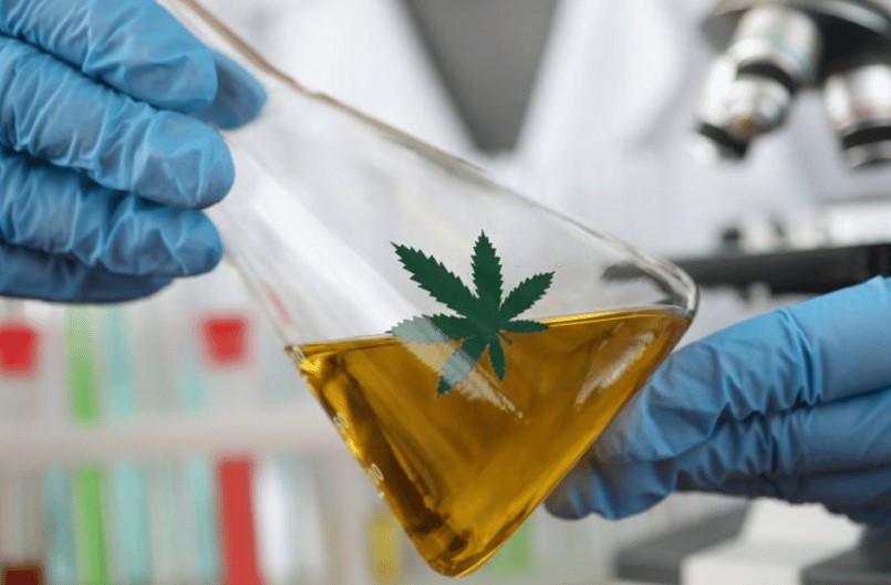Transparent Cannabis: The Truth About Testing & Inflated THC transparent cannabis - Transparent Cannabis: The Truth About Testing & Inflated THC