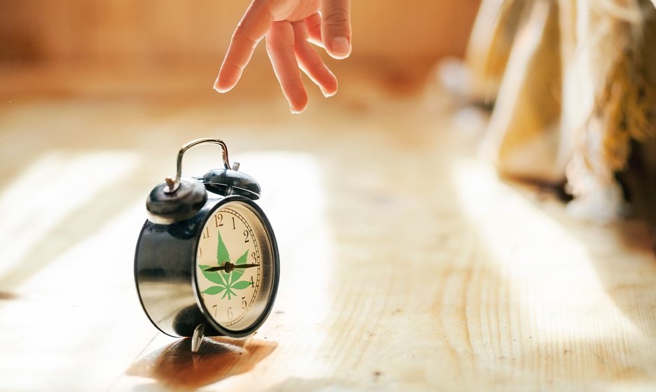 What Are Cannabis Tolerance Breaks, and Should You Consider One? understanding cannabis tolerance breaks - What Are Cannabis Tolerance Breaks, and Should You Consider One?
