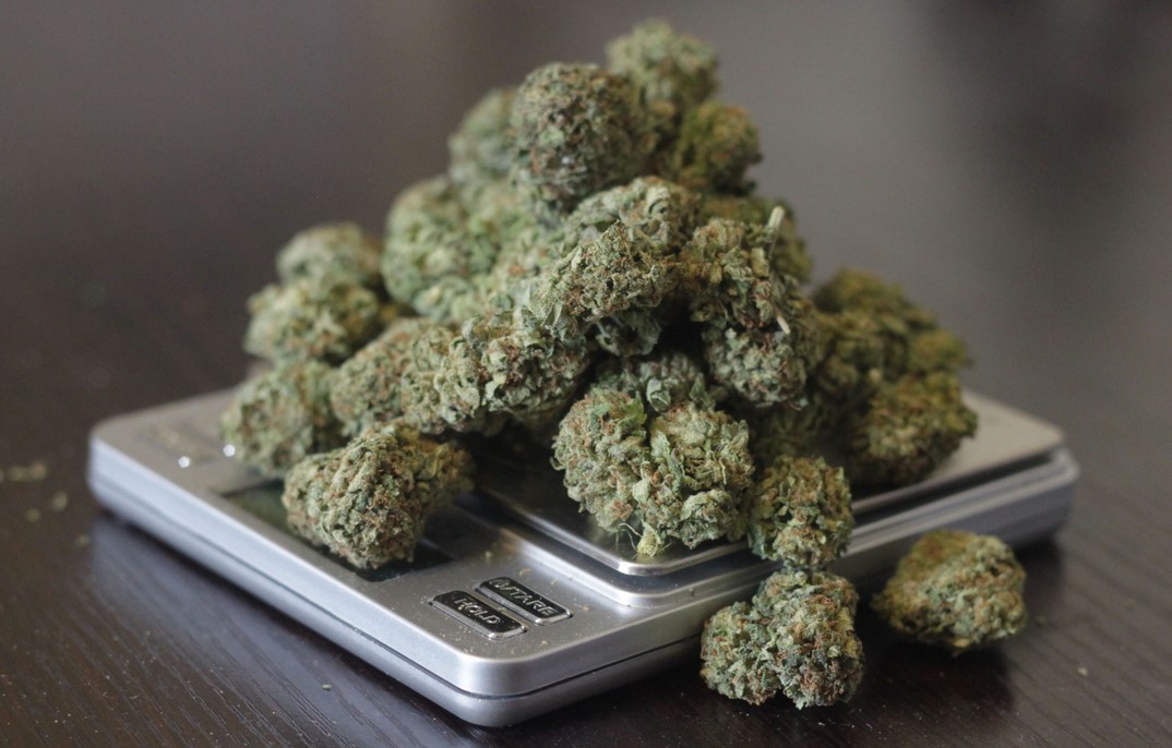 Gram, Eighth, Quarter, Ounce: Understanding Weed Weights weed weights 12 - Gram, Eighth, Quarter, Ounce: Understanding Weed Weights