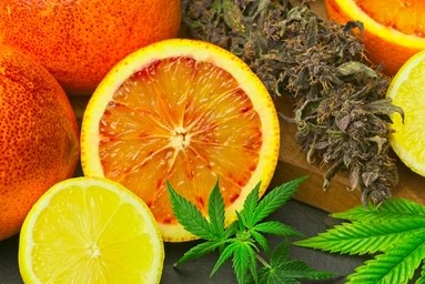 What is Limonene: Everything You Need to Know About Limonene what is limonene everything you need to know 01 - What is Limonene: Everything You Need to Know About Limonene