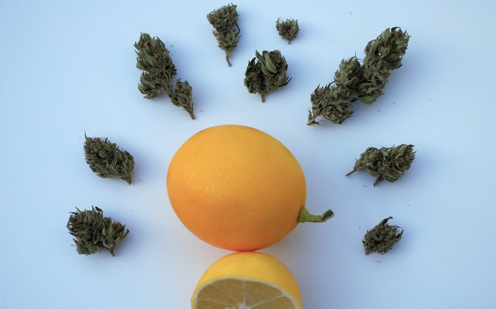 What is Limonene: Everything You Need to Know About Limonene what is limonene everything you need to know 2 - What is Limonene: Everything You Need to Know About Limonene