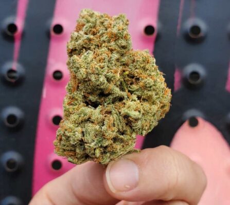 why is weed sticky 3 447x400 - Why Is Weed Sticky?